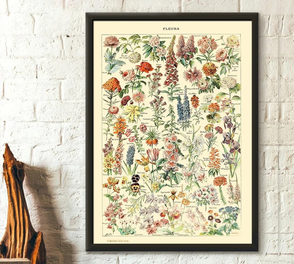 Flower Poster Wall Art