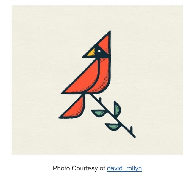 Cardinal Bird