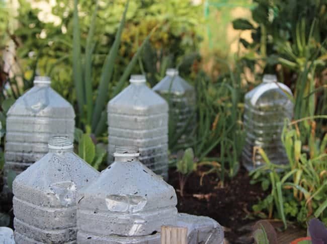 EASY DIY BOTTLE GREENHOUSES FOR YOUR SEEDLIN
