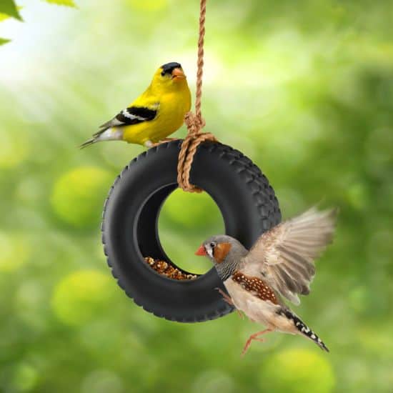 TIRE SWING FEEDER