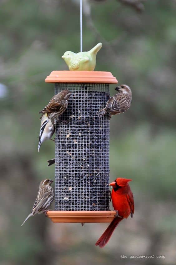 STANDARD TOWER FEEDER