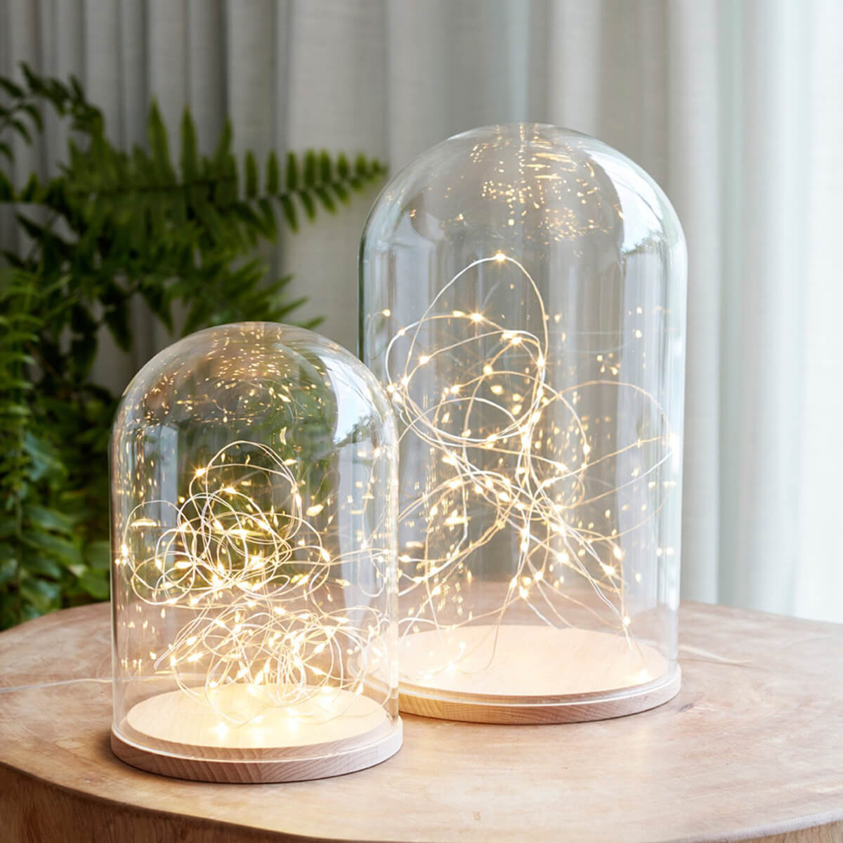 Dome Lights