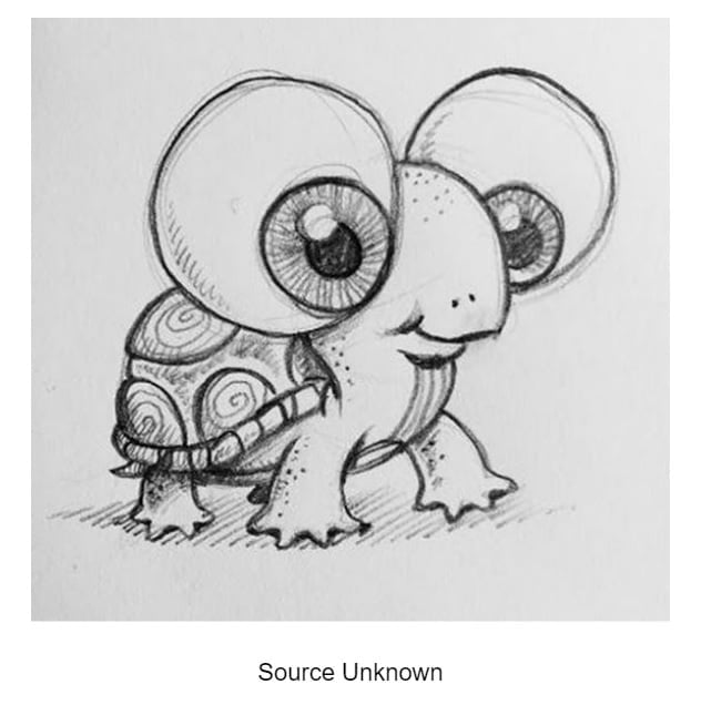 Big-Eyed Turtle
