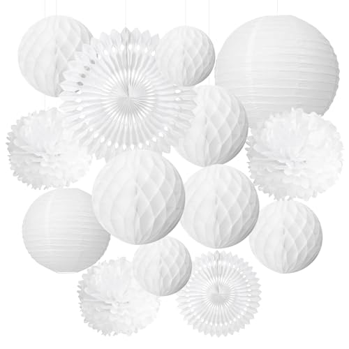 White Party Decoration Kit Hanging Tissue Pom Poms Flowers...