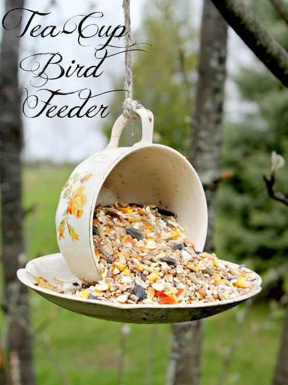 TEA CUP FEEDER