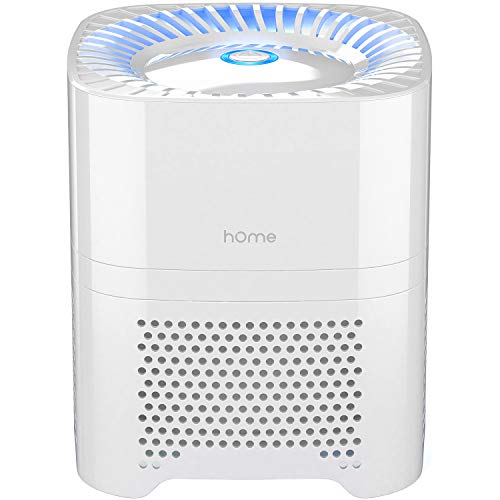 hOmeLabs 4-in-1 Compact Air Purifier - Quietly Ionizes and...