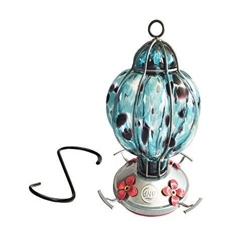 Best Home Products Hummingbird Feeder with Perch -...