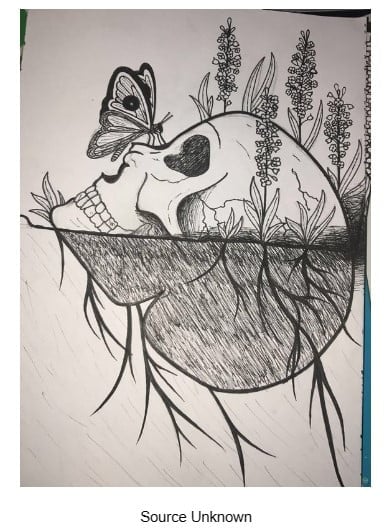 Skull and Butterfly