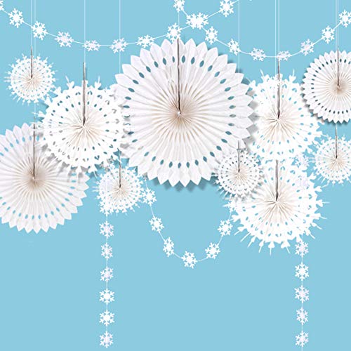 Decor365 Winter Wonderland Snowflake Party Decorations...