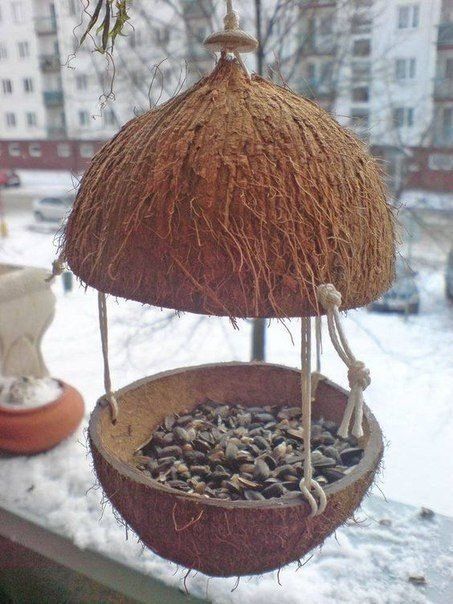 GOURD OR COCONUT SHELL FEEDER