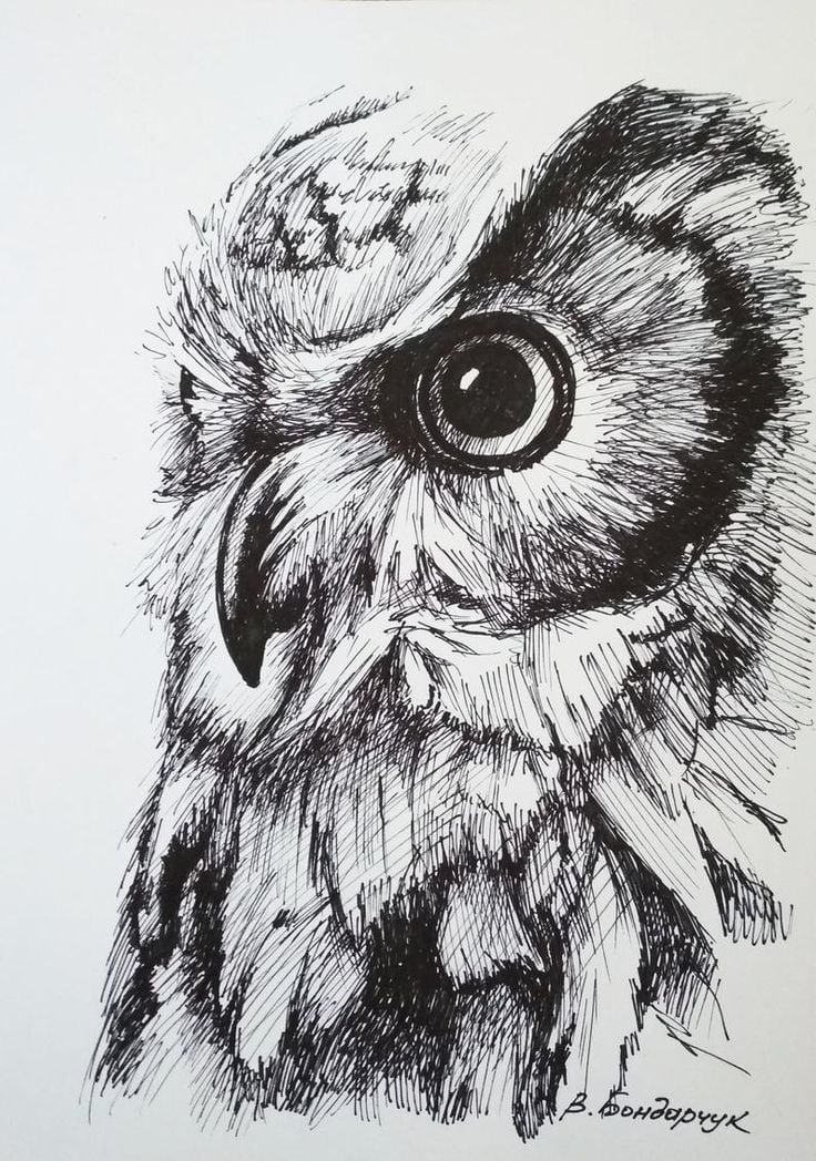 Owl Tattoo Designs
