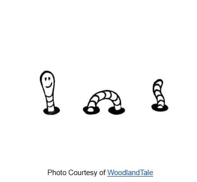 Worm