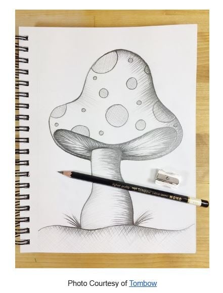 Mushroom