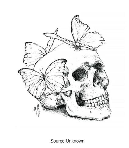 Skull and Butterflies