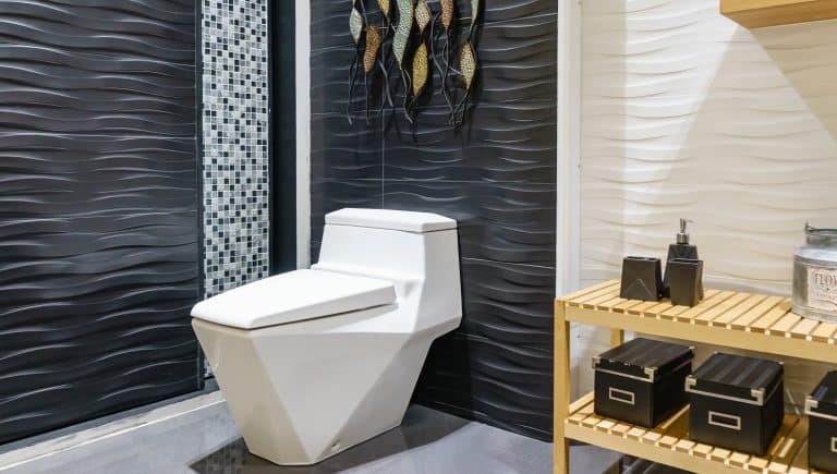 Best Bidet Toilet Combos