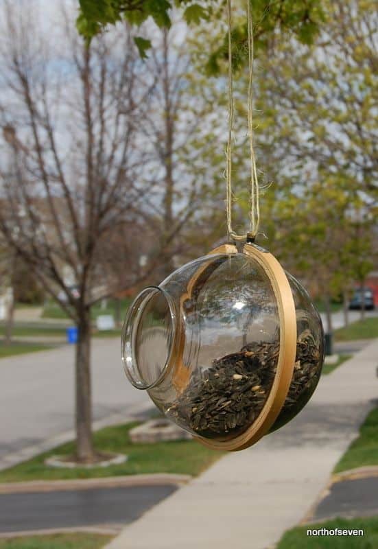 ORB FEEDER