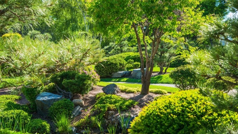 Japanese Garden in Spring with Many Different Plants. Peace and Calm Garden.
