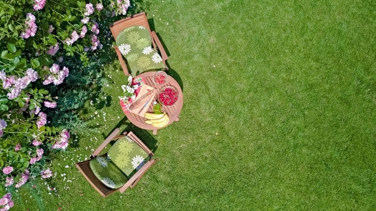 Best Lawn Fertilizer Options