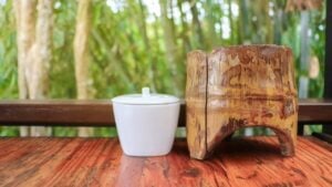 Bamboo Project Conclusion