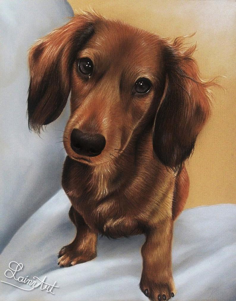 Brown Dog 