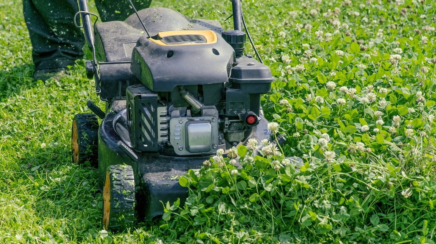 Who Makes The Best Lawn Mower Engine Today? Mowing lawns. Lawn mower on green grass. mower grass equipment. mowing gardener care