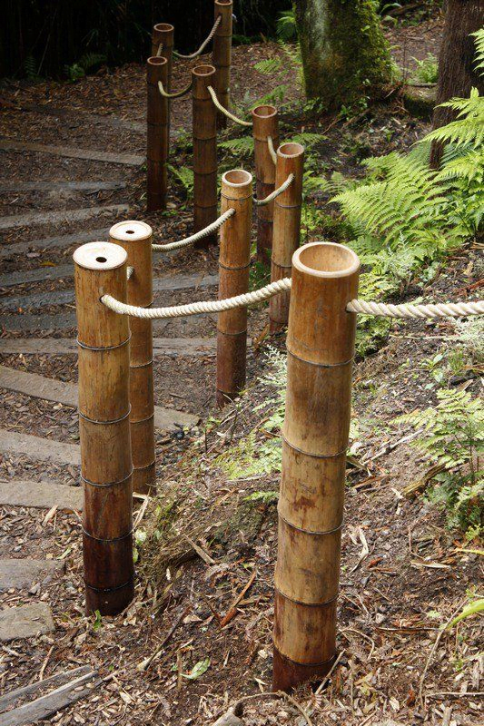 Bamboo Yard Divider