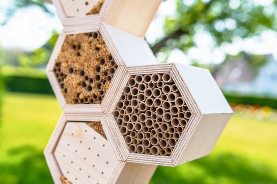 Bamboo Bee House
