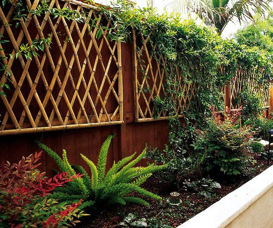 Bamboo Garden Trellis